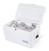 Billede af Igloo Marine Ultra 54 køleboks (51 liter)